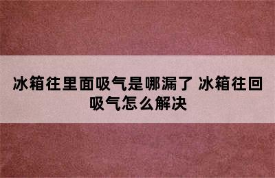 冰箱往里面吸气是哪漏了 冰箱往回吸气怎么解决